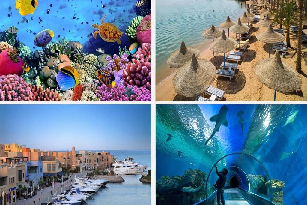 201Sheraton Plaza Hurghada Esterno foto