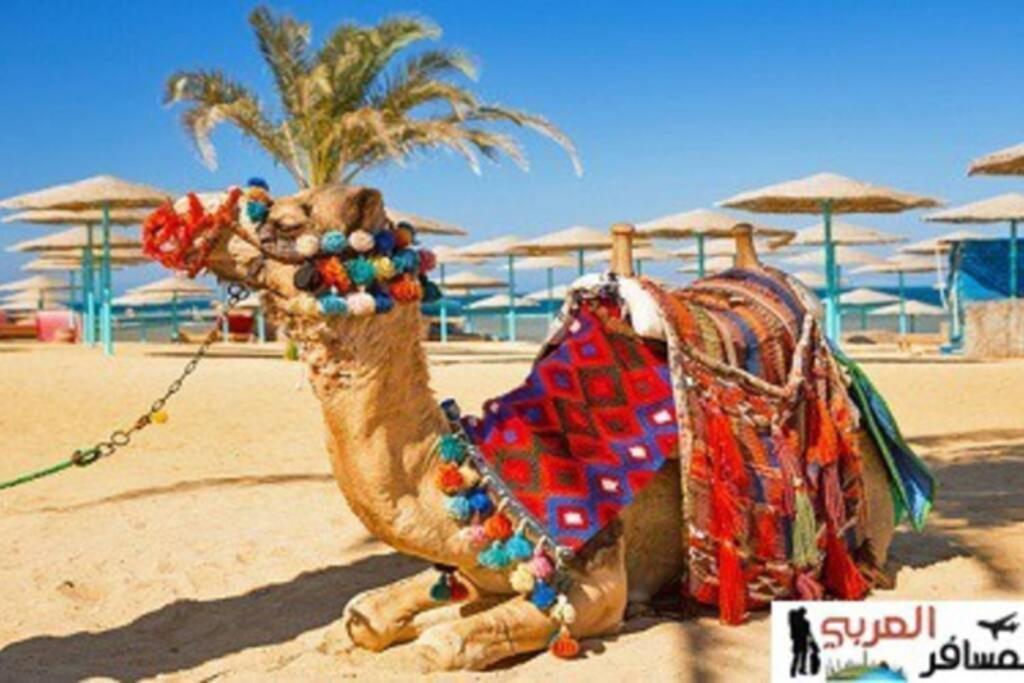 201Sheraton Plaza Hurghada Esterno foto
